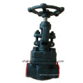 API602 Forged Carbon Steel A105 Thread End NPT Globe Valve